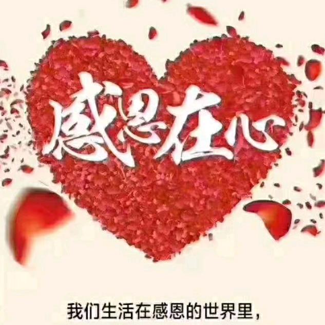 平凡人生
