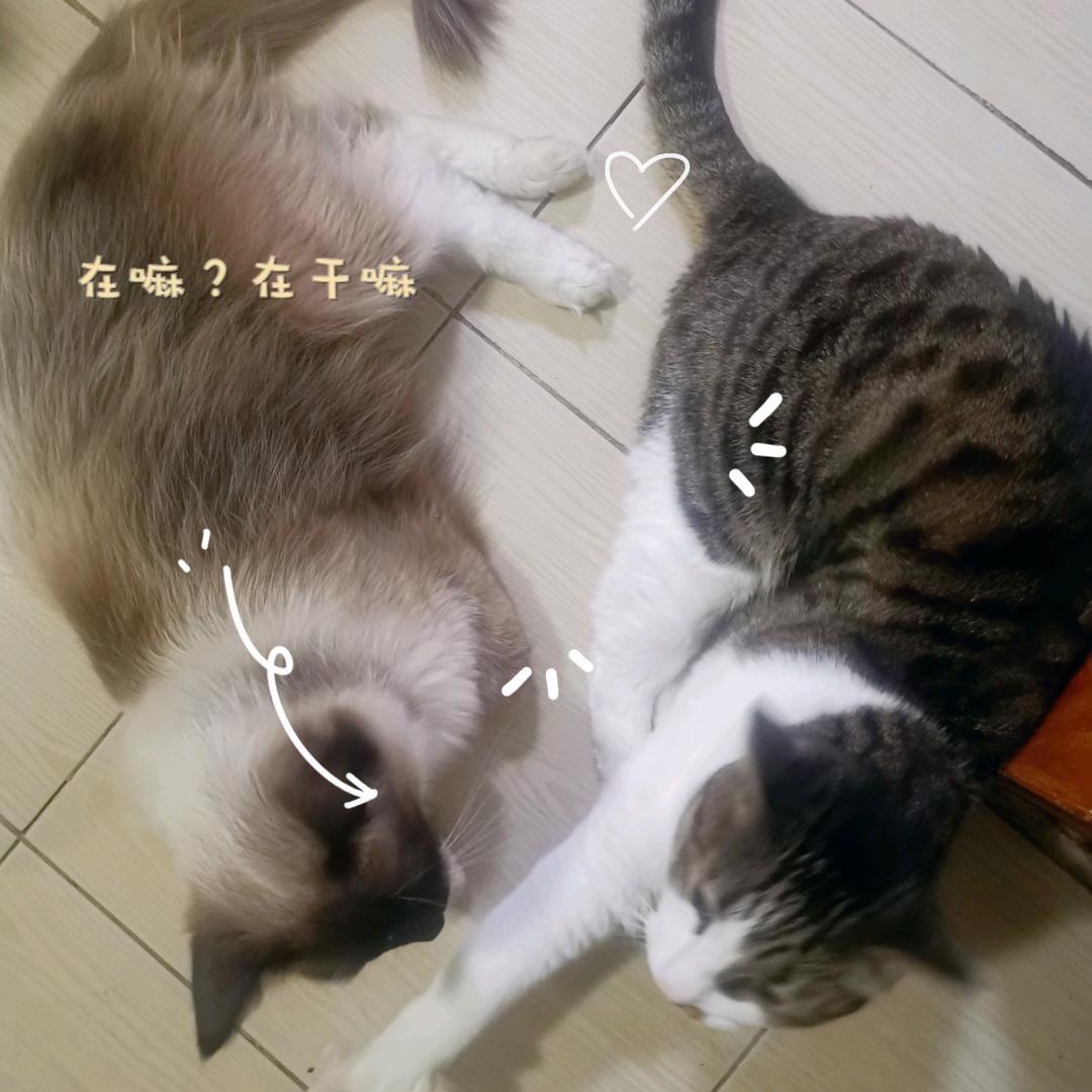 当然然725