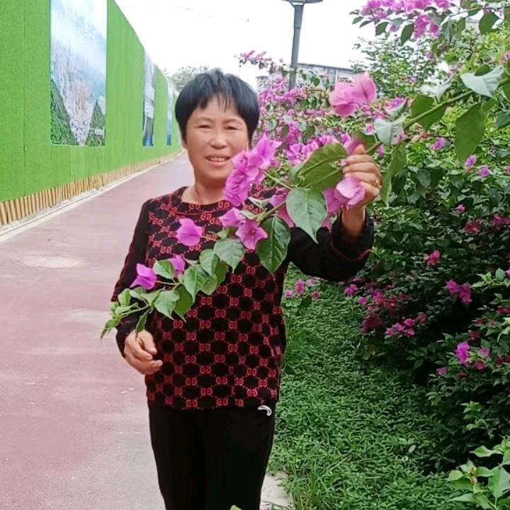 肖大姐