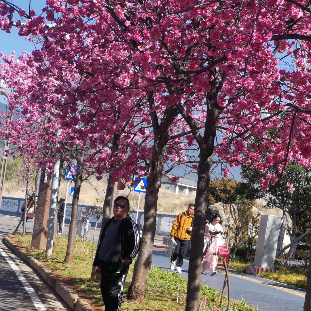 🐓依古纳西若👥武哥👤