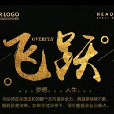 🇨🇳极速飞跃🇨🇳