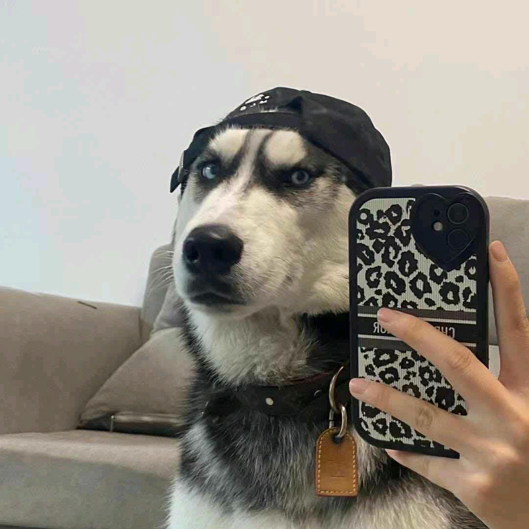 是天意吧.