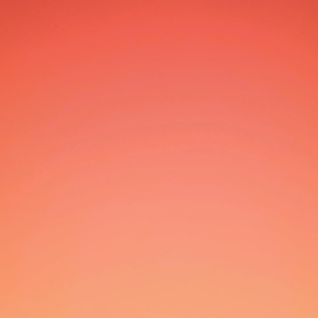 我是磊哥