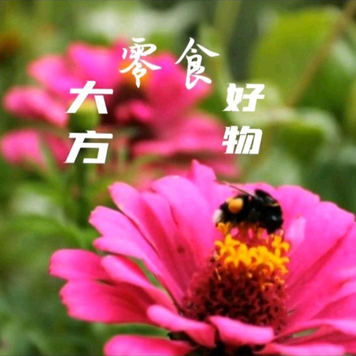 嗡嗡的采集蜂带你想吃想喝的