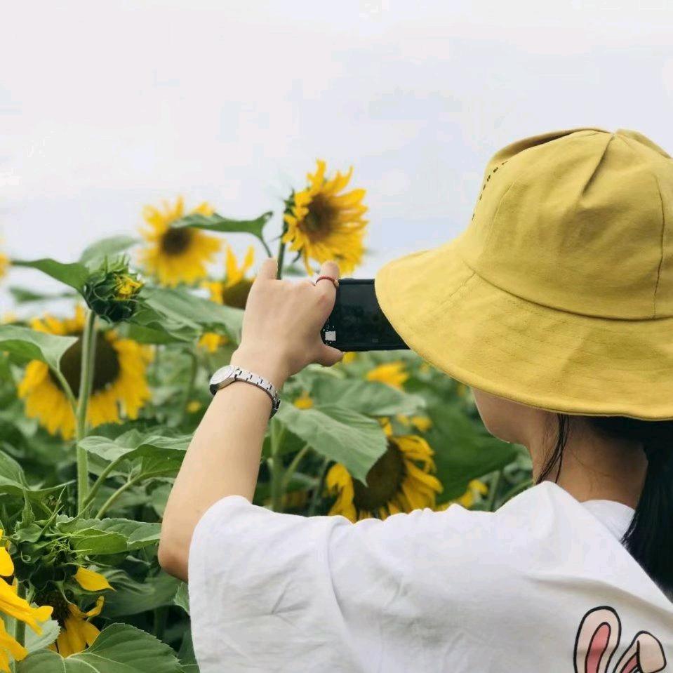 魅惑。。