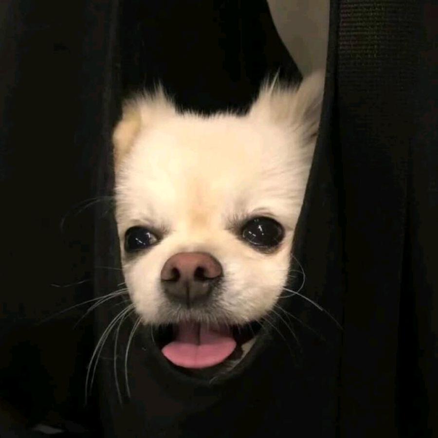 22/