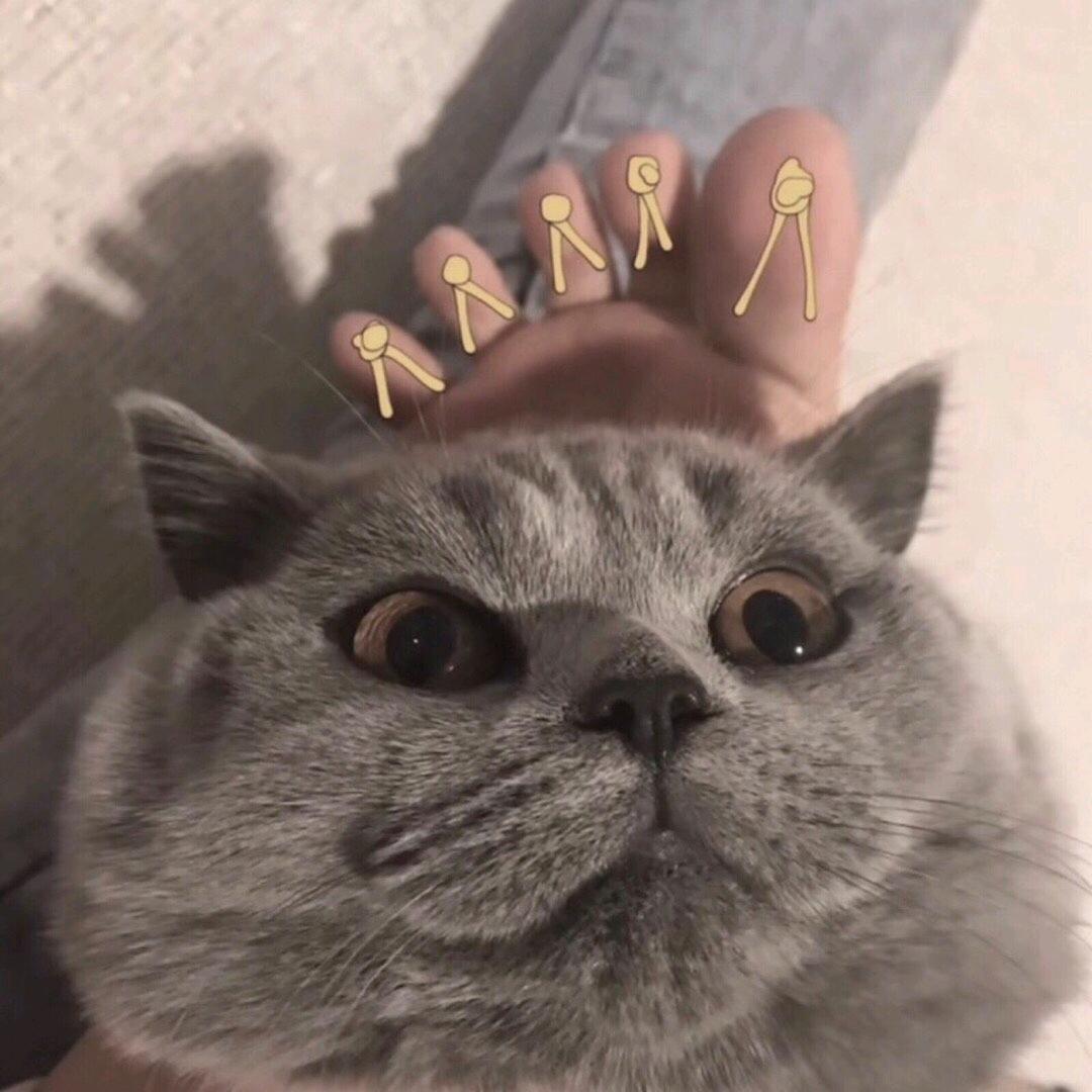 AAA外滩一号狗肉馆