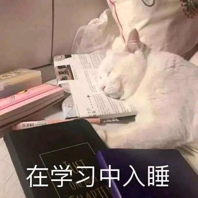 风走过八千里
