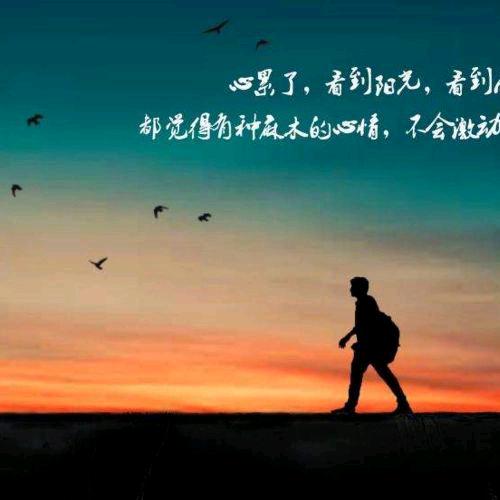 seven头像
