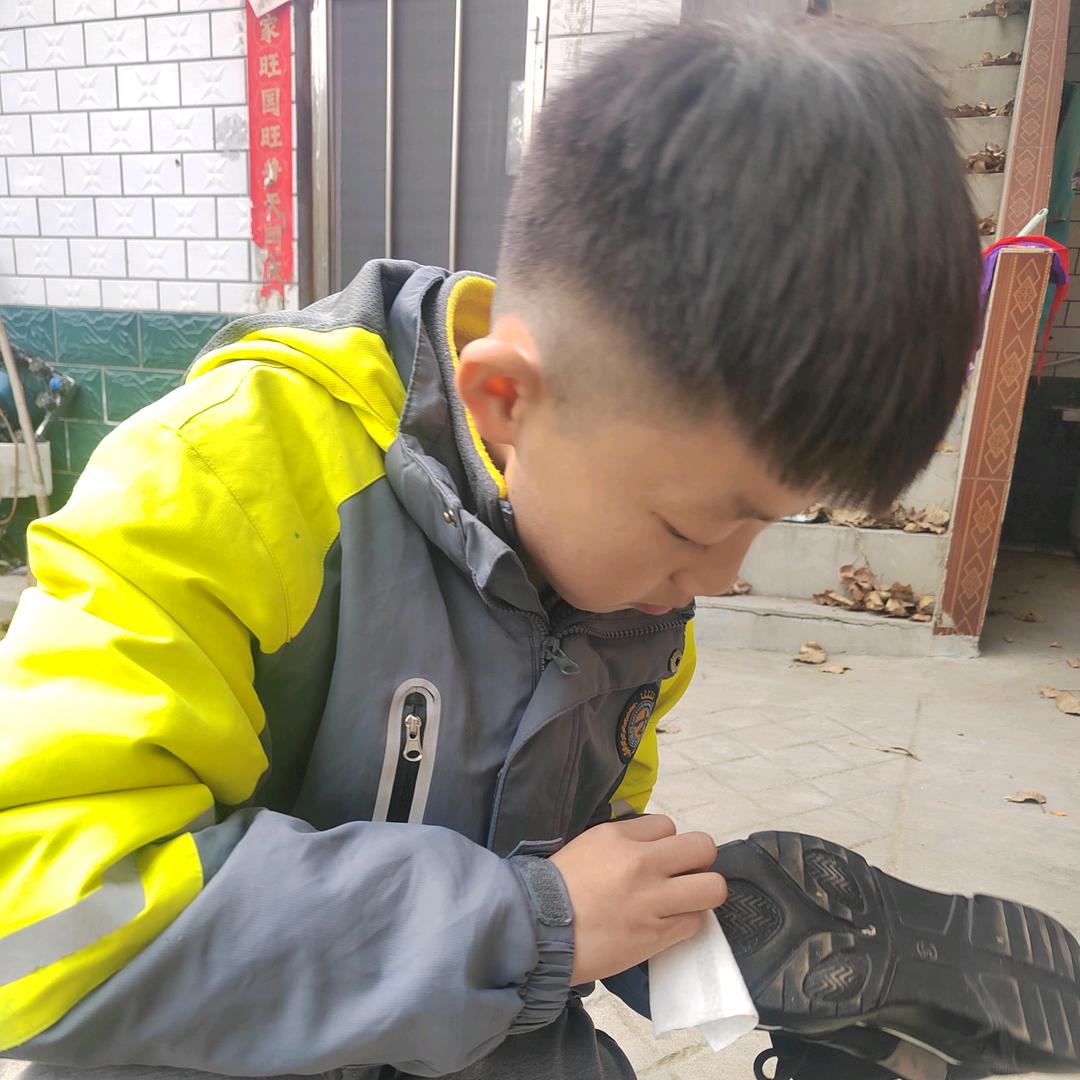 菜波吃爱仑力大