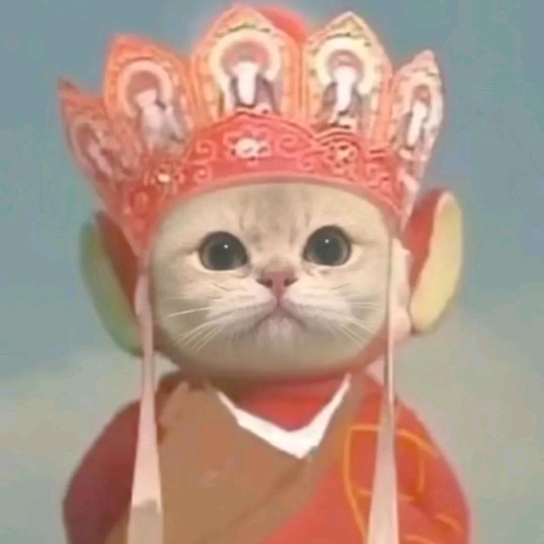 🐴小马哥🐴