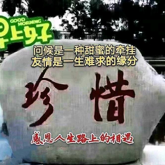 甘心情愿