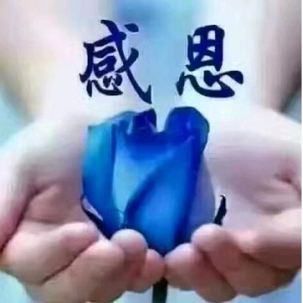 静心如水