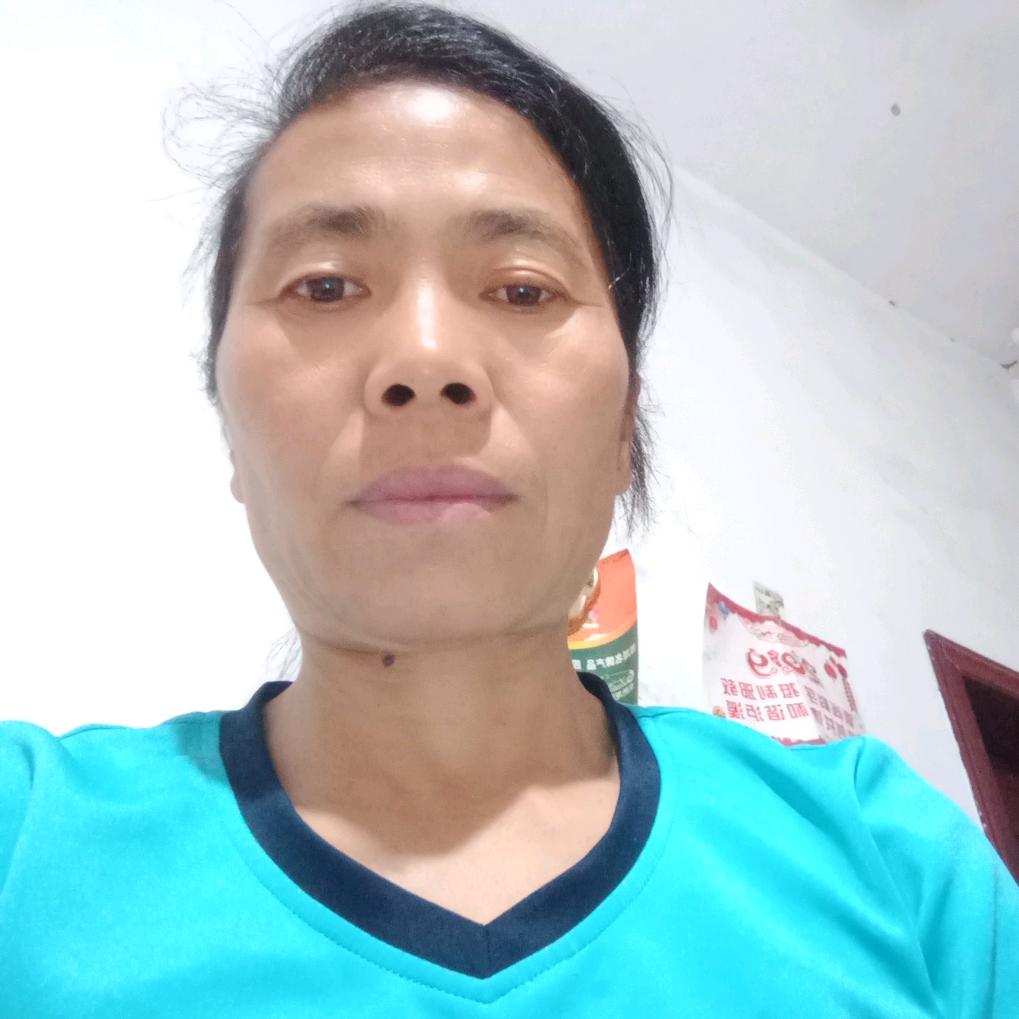 温柔的月光