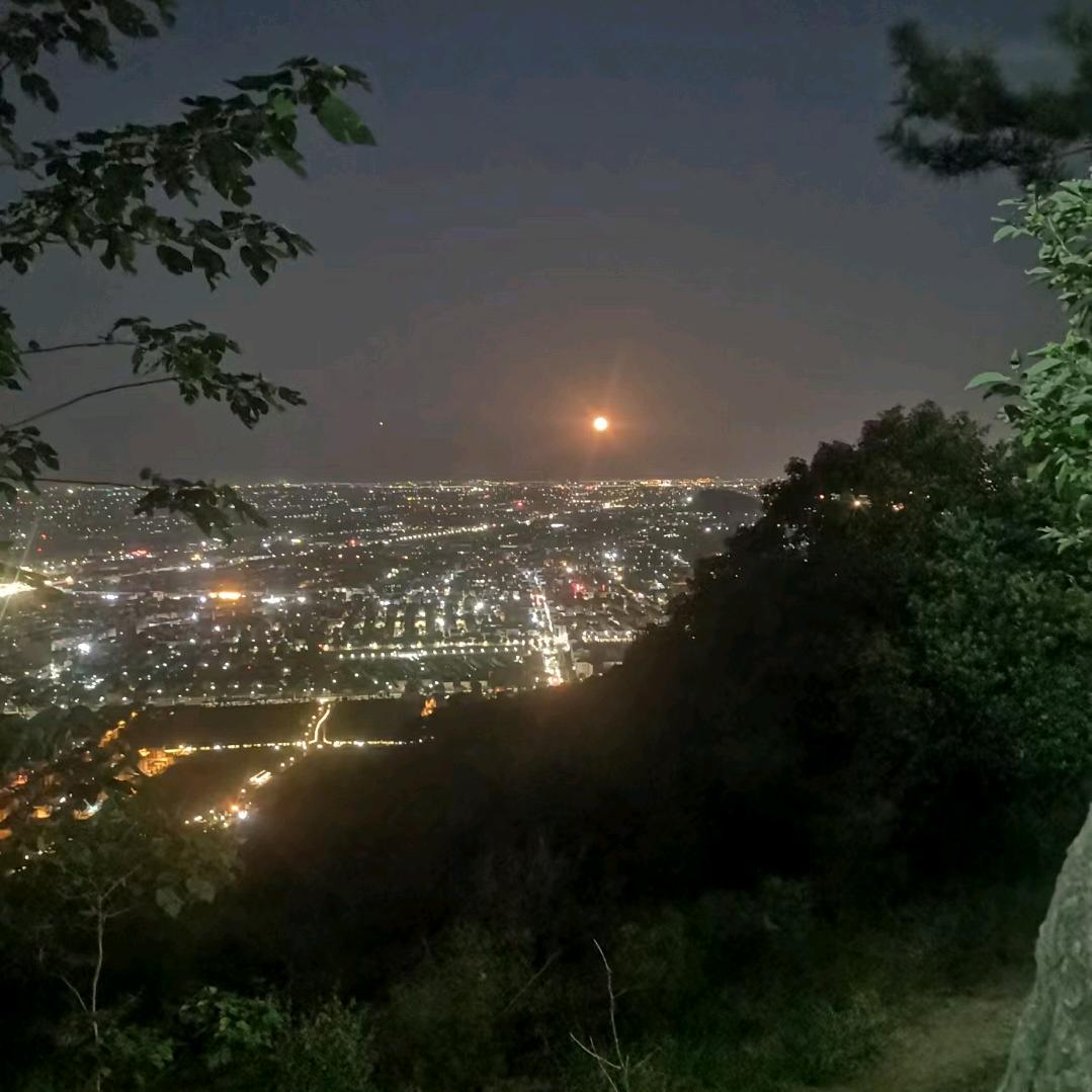 杨杨杨
