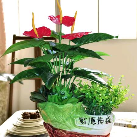 沐浴杨光
