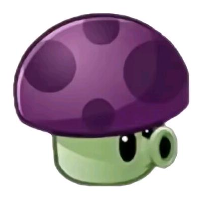 🟣 🟣 🟣 🟣 🟣🟣🟣🟣