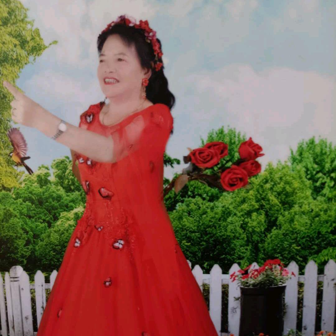马兰花