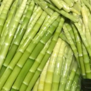 批发鲜笋，冰心，