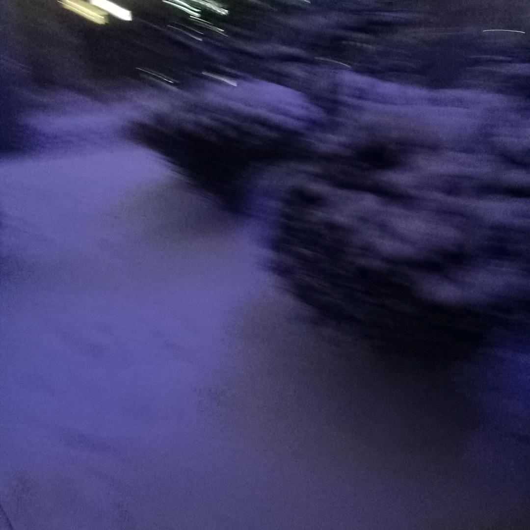 我的梦想成真