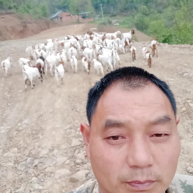 纪昌根