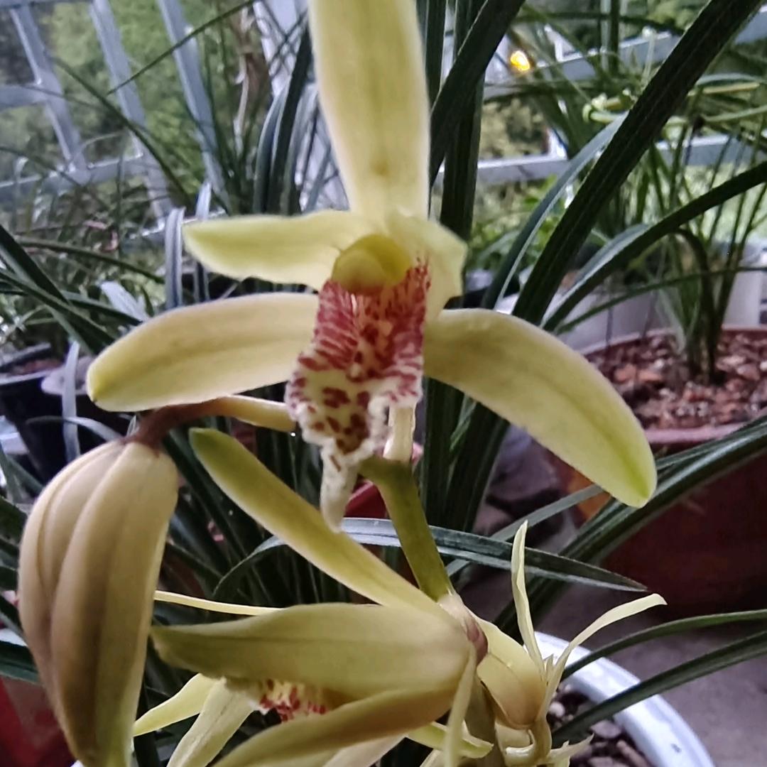 小李信远惠商贸