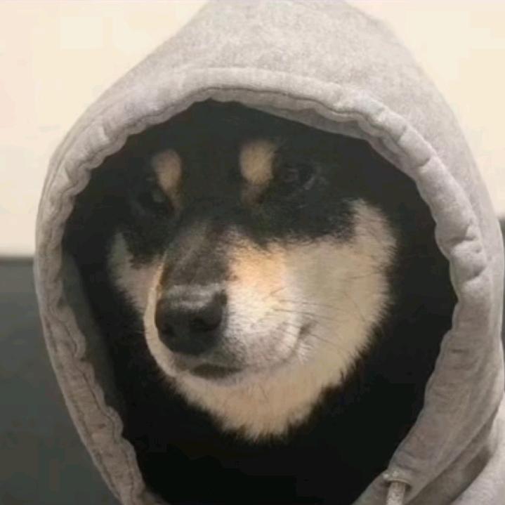长安的宁安爵头像