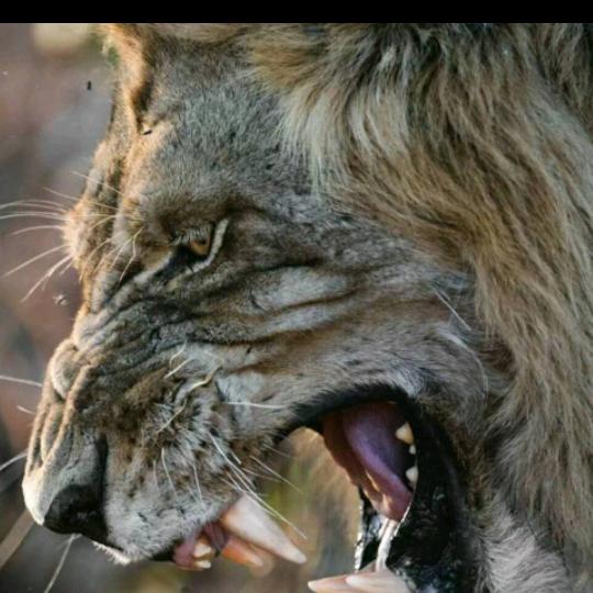 我的命运我把握