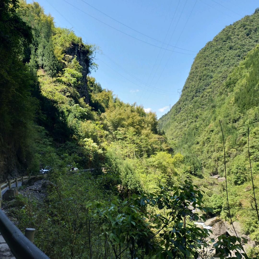 下定决心忘记你