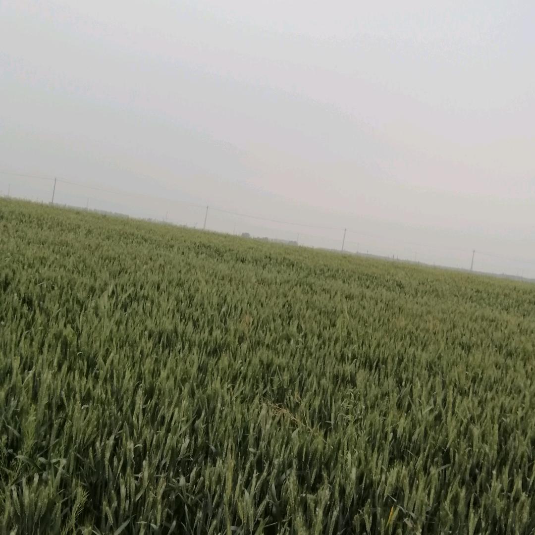 让梦飞翔