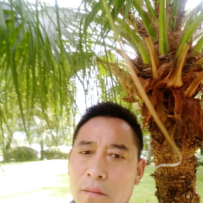 狼行天下。