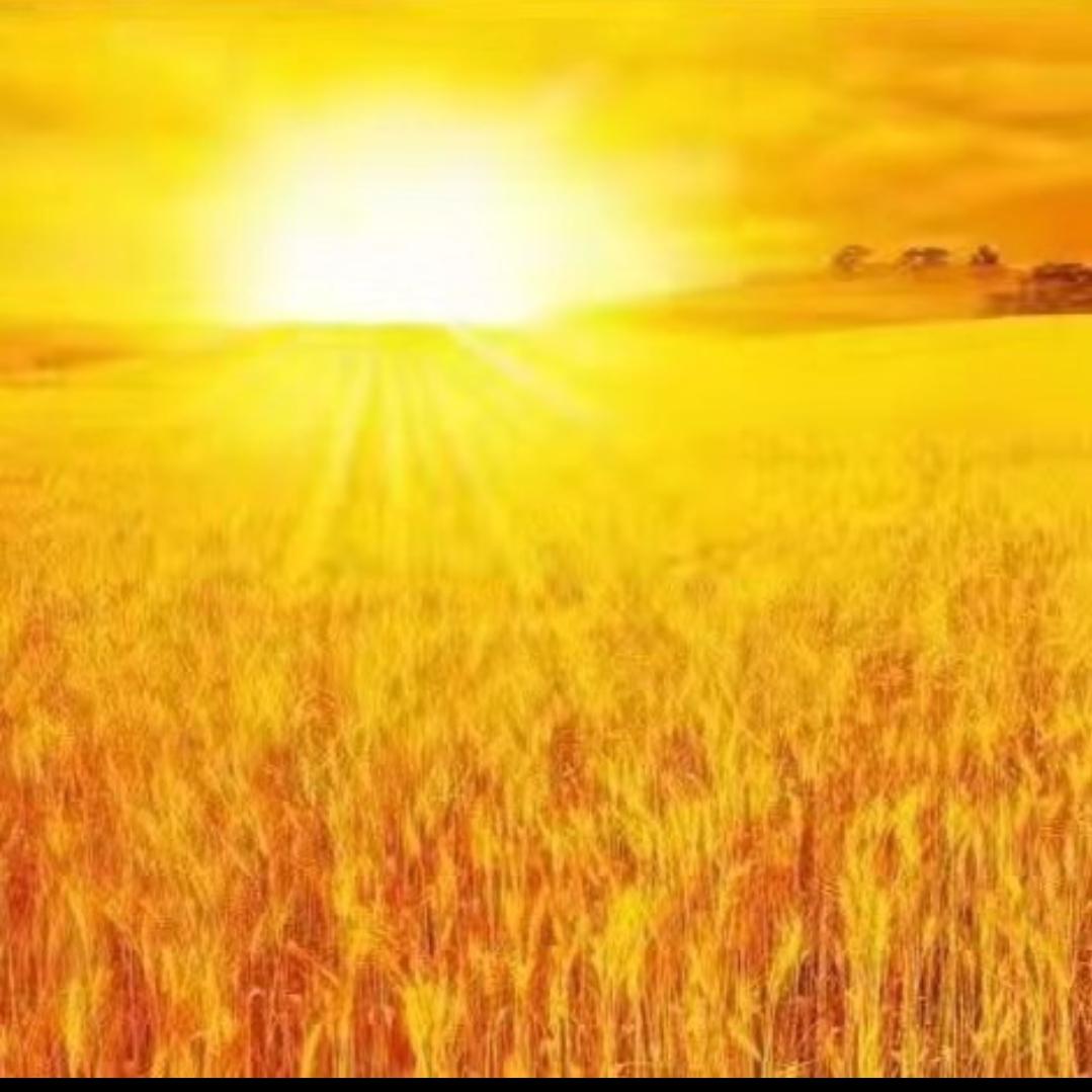 雕刻人生之雕刻时光~南哥