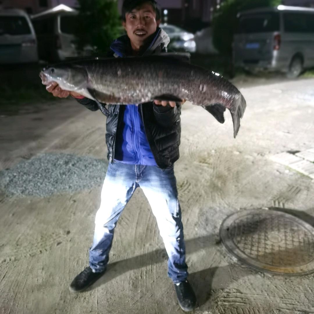 ( ‾᷅㉨‾᷅ )怪我咯？这个年纪不吃糖