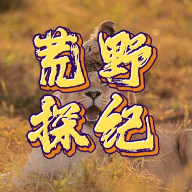 荒野探纪