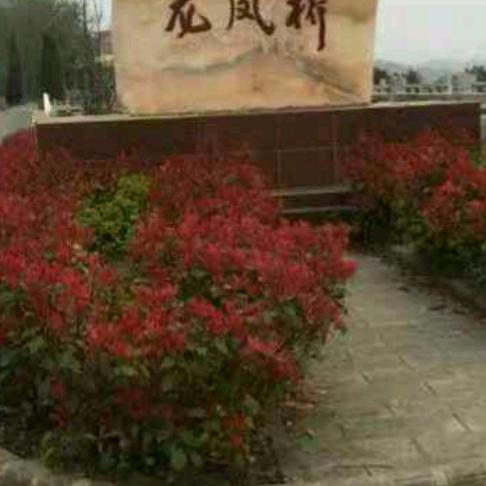 春天