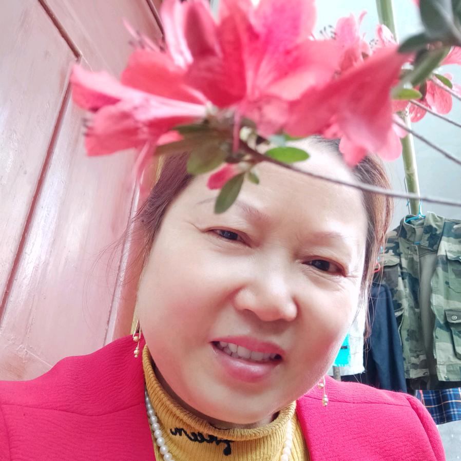 何三姐