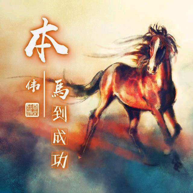 蛋蛋来啦😊  人生就是体验