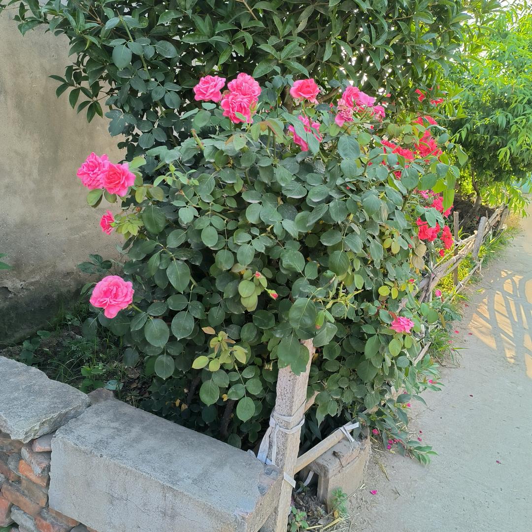 悲伤愤怒