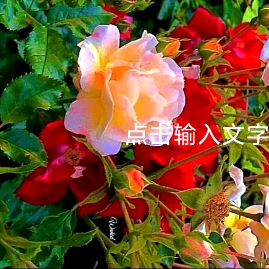 合气生财
