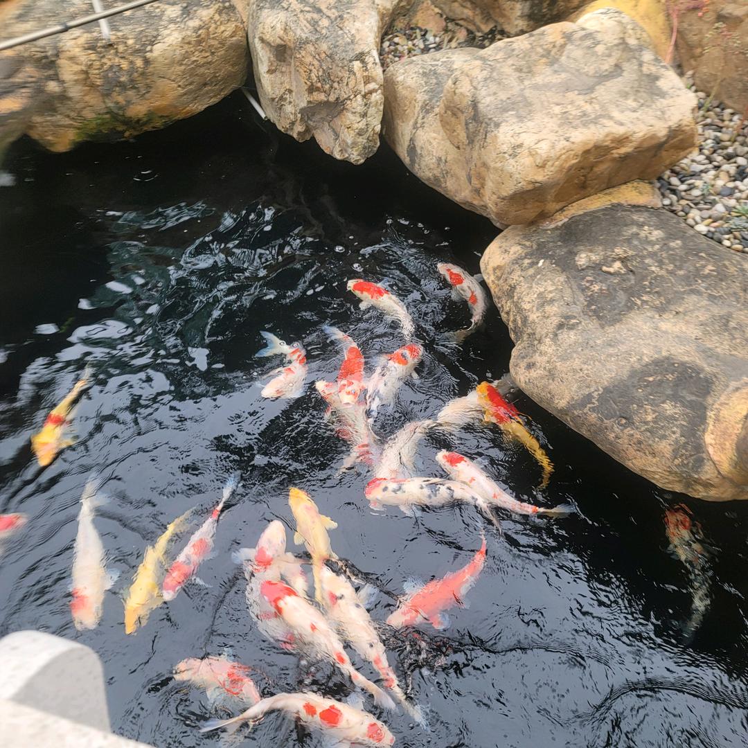 景汇鑫科技有限公司