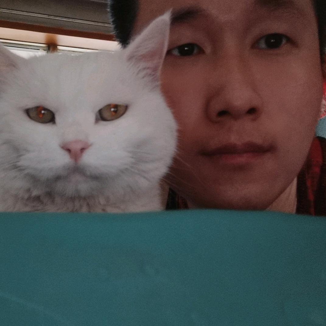 九米猫猫