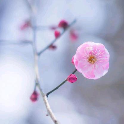 洒落的青春