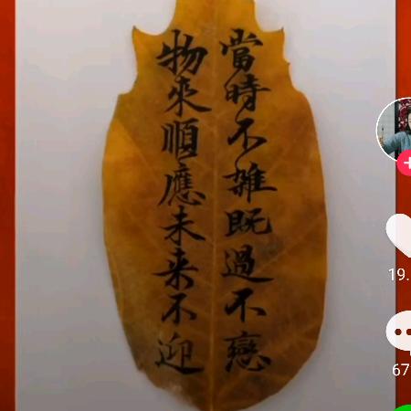 未来更好