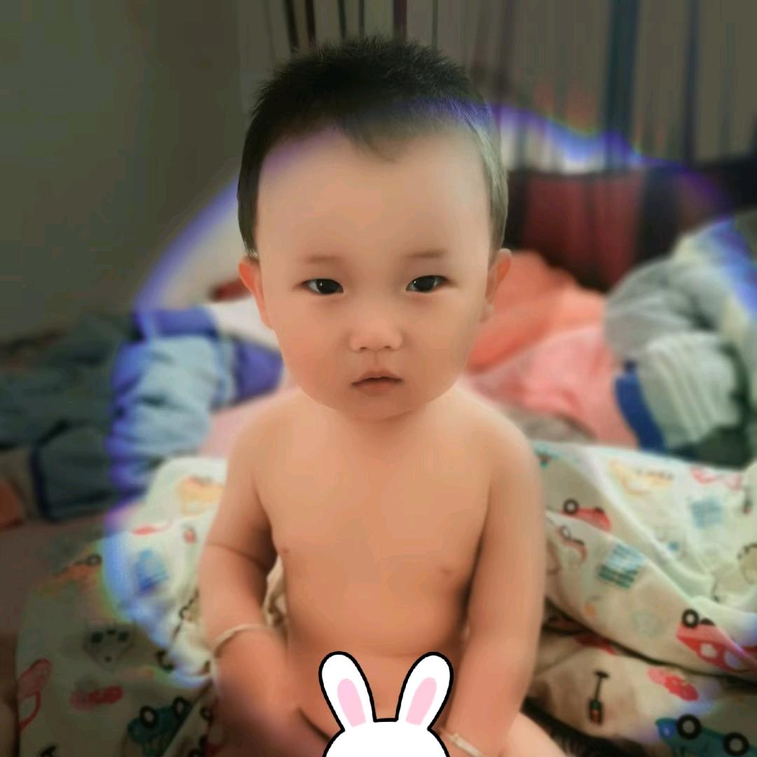 菩提下的恋曲