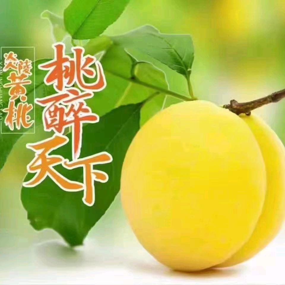 ^_^手指爱上烟^_^