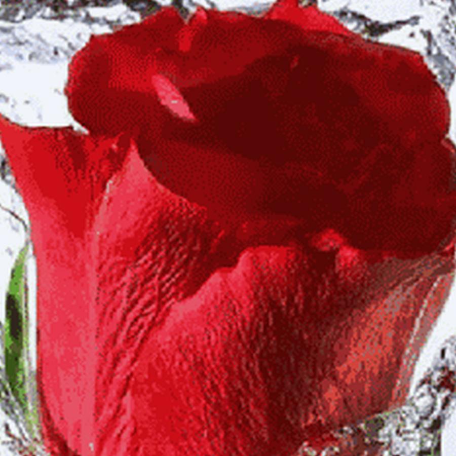 我就是我，不用谁来说。拒绝连赞