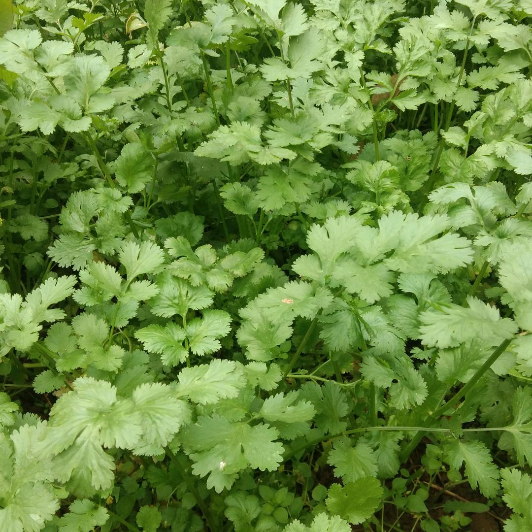 开心快乐！❤️