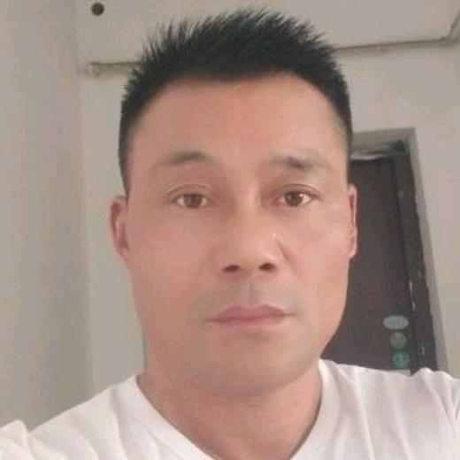 忠情忠义