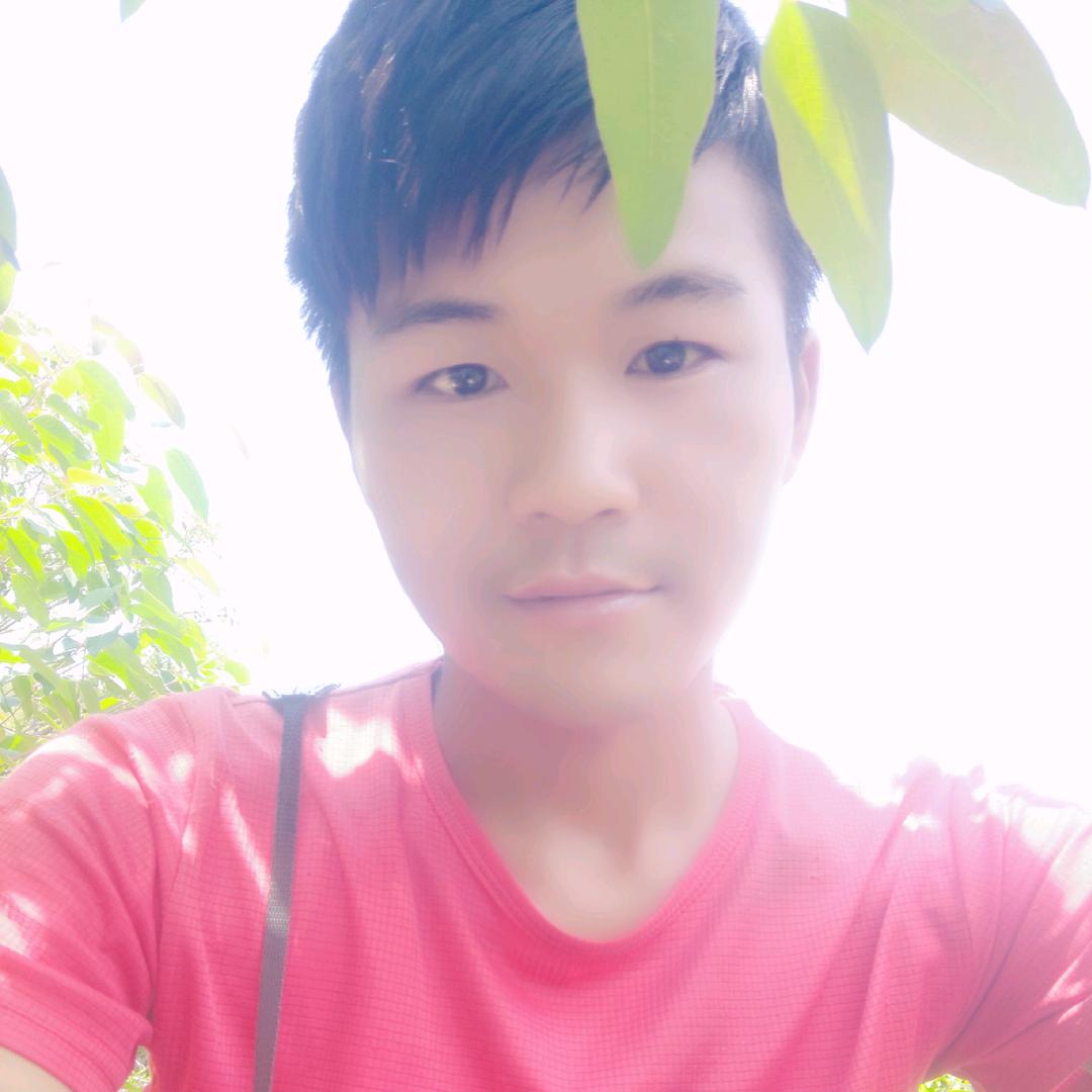 追蜂小辉