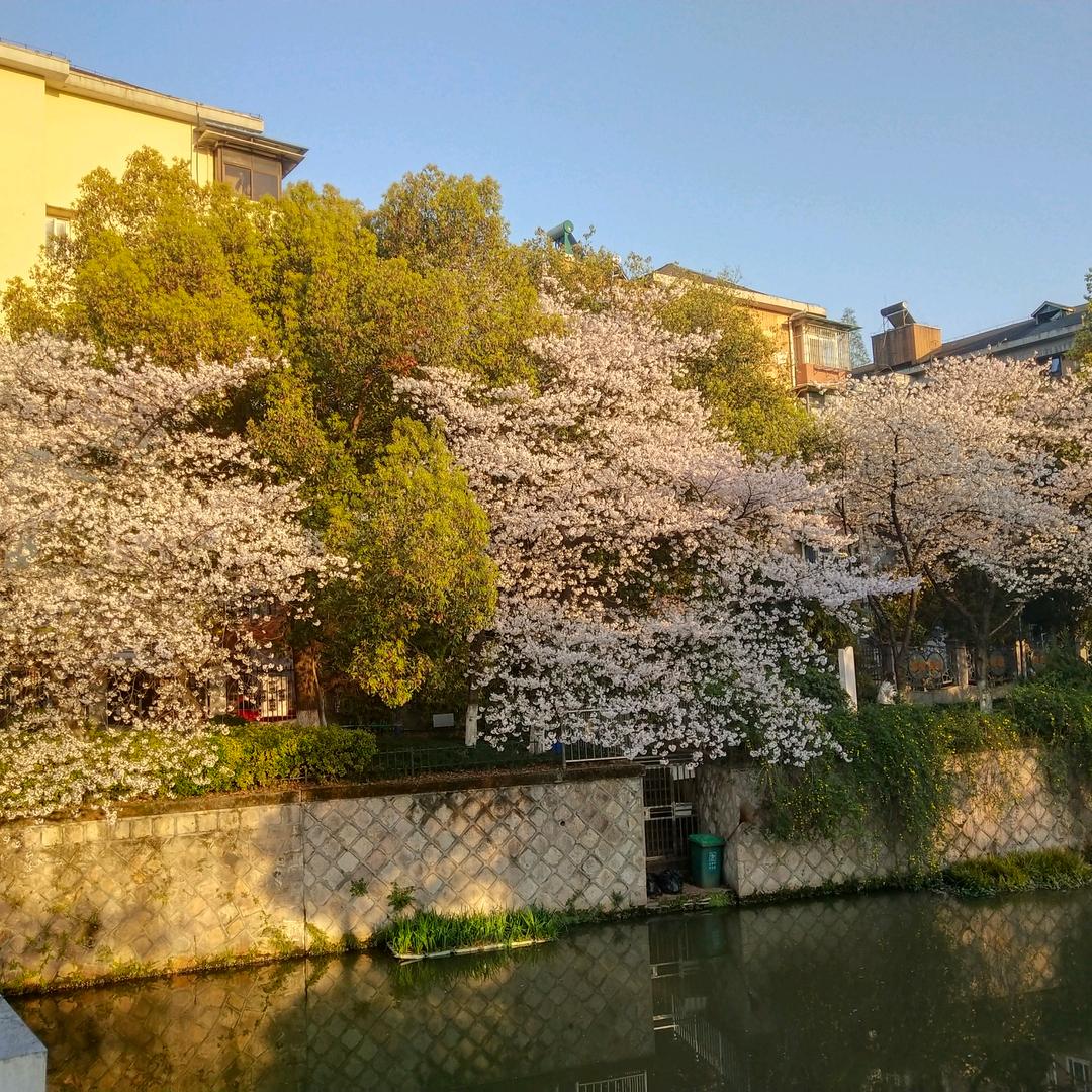 人生泷宝🐻‍❄️